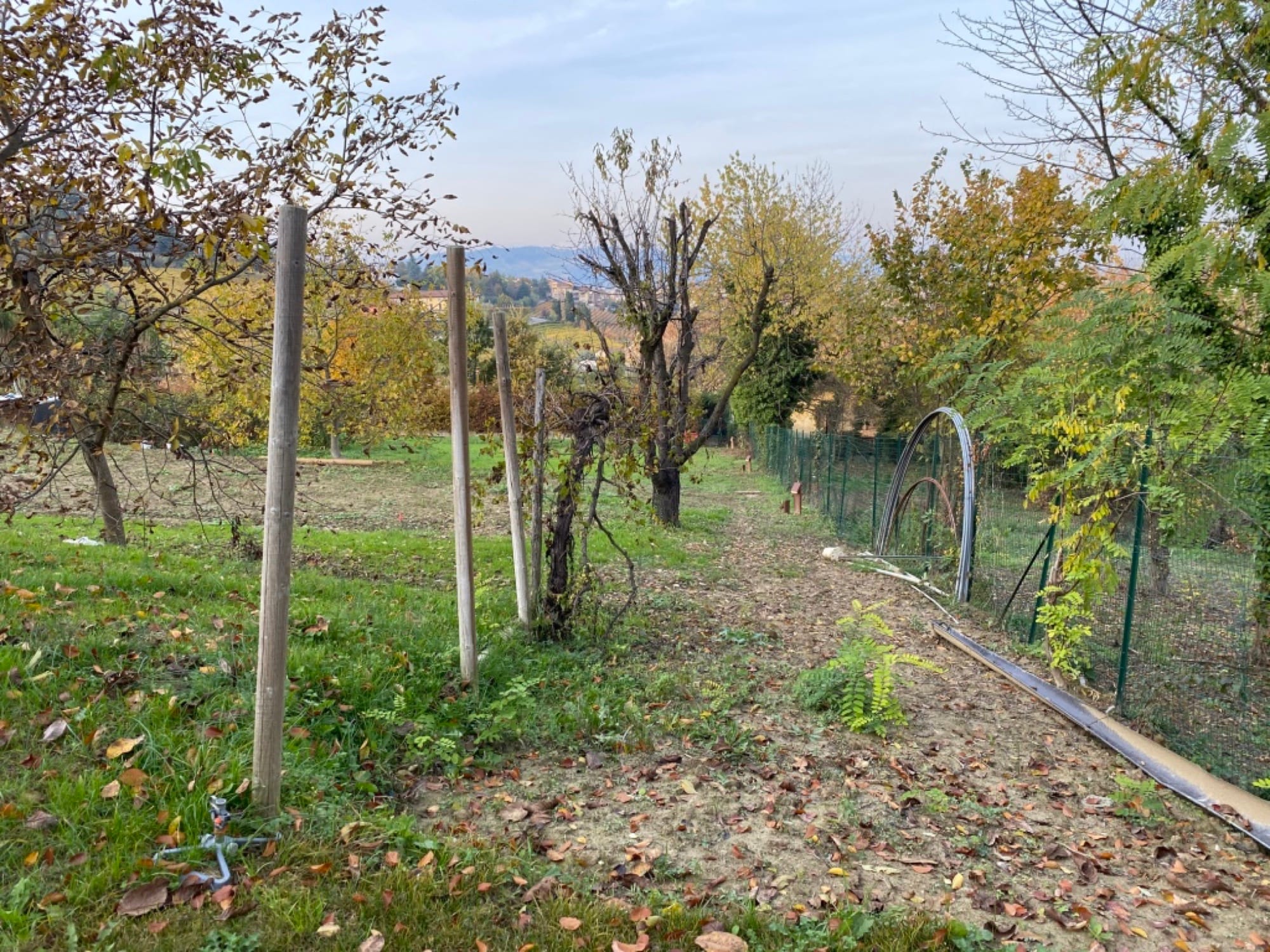 Alba, Cuneo