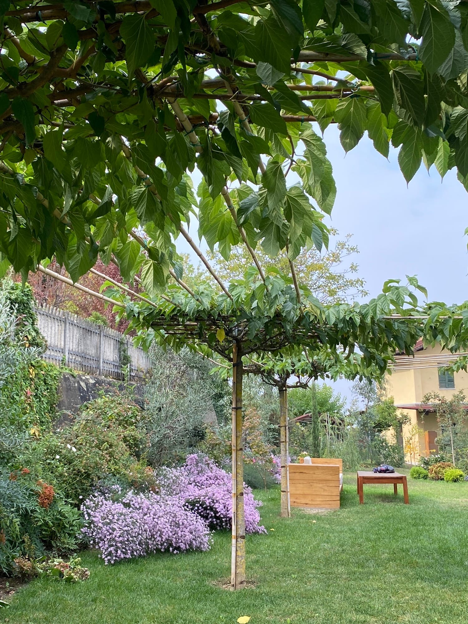 Alba, Cuneo