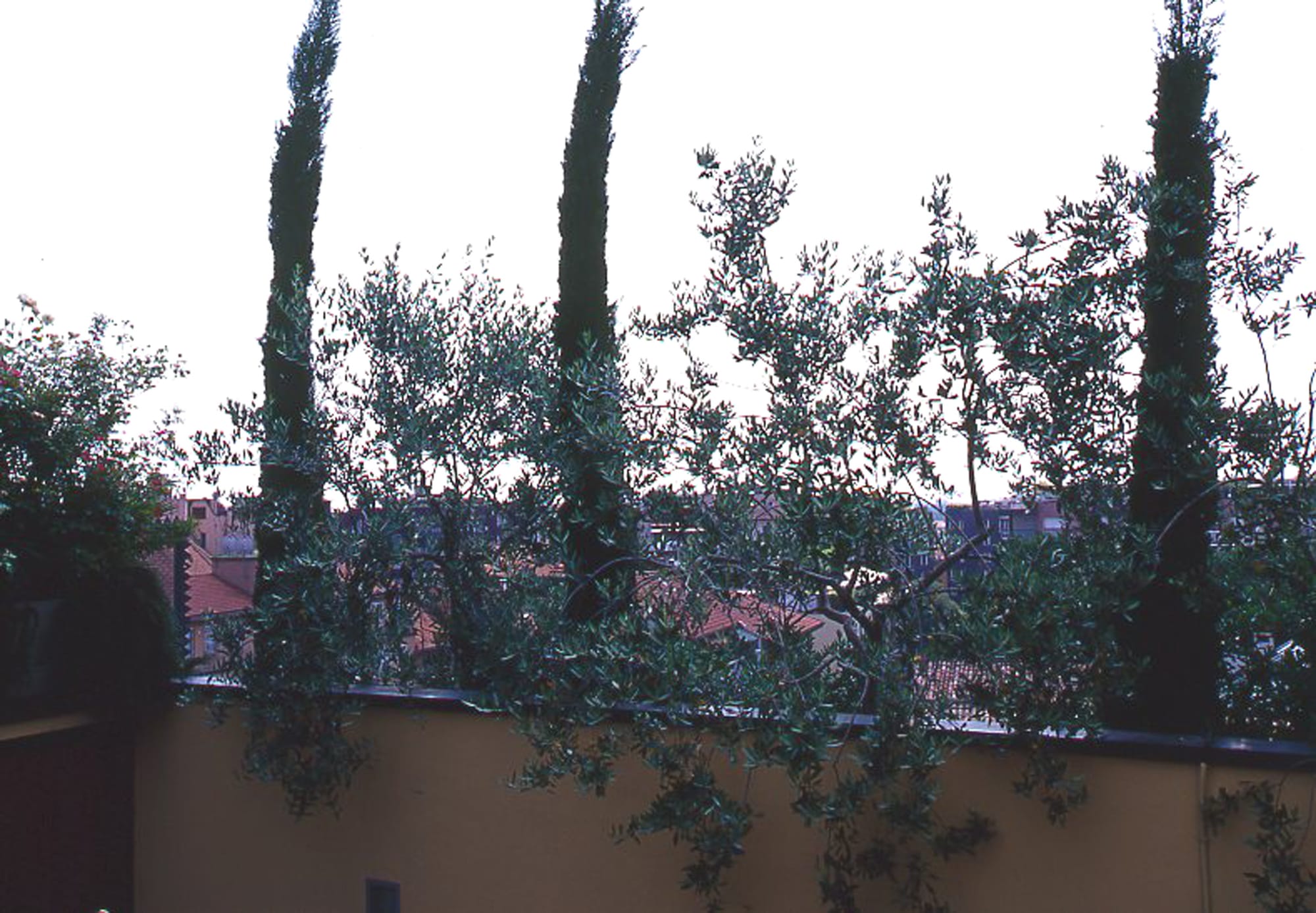 Milano 2003