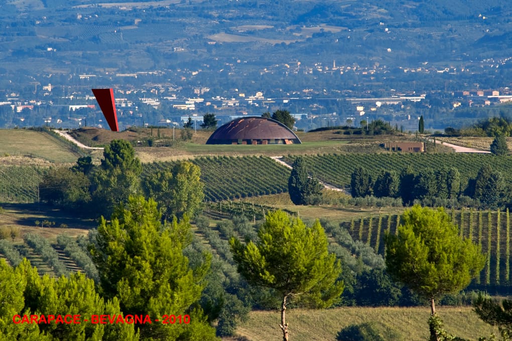 Carapace, Bevagna