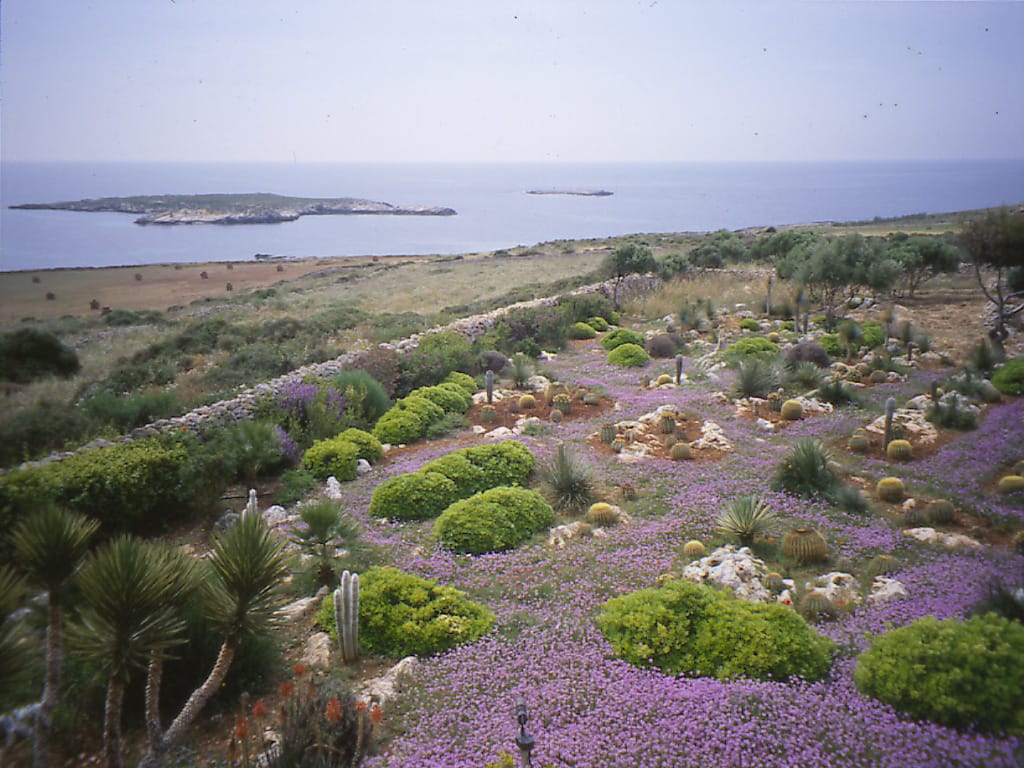 Favignana, Trapani
