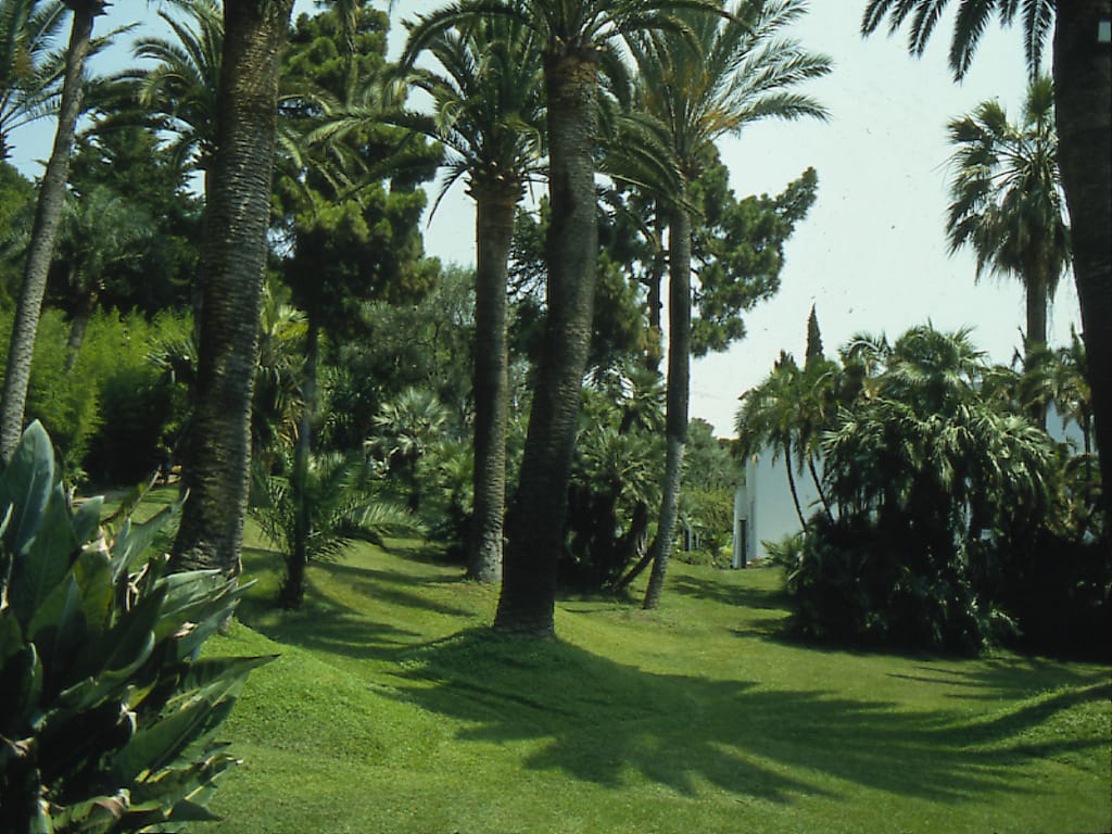 Bordighera, Imperia