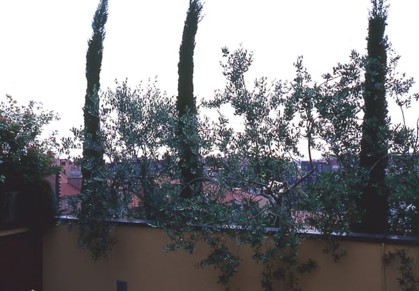 Milano 2003