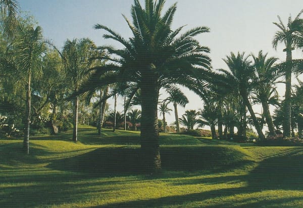 Acitrezza, Catania