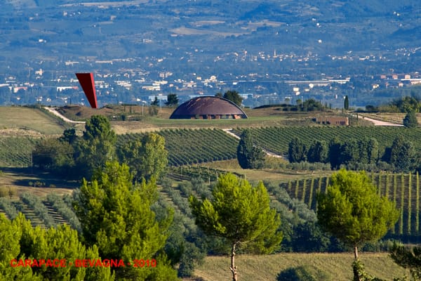Carapace, Bevagna