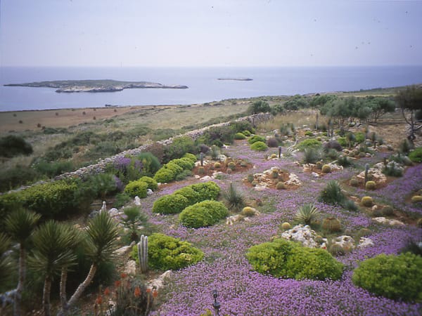 Favignana, Trapani