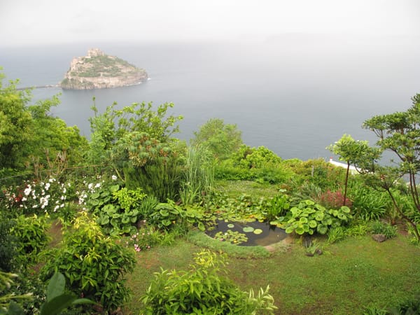 Campagnano, Ischia