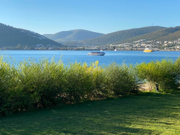 Torba, Bodrum