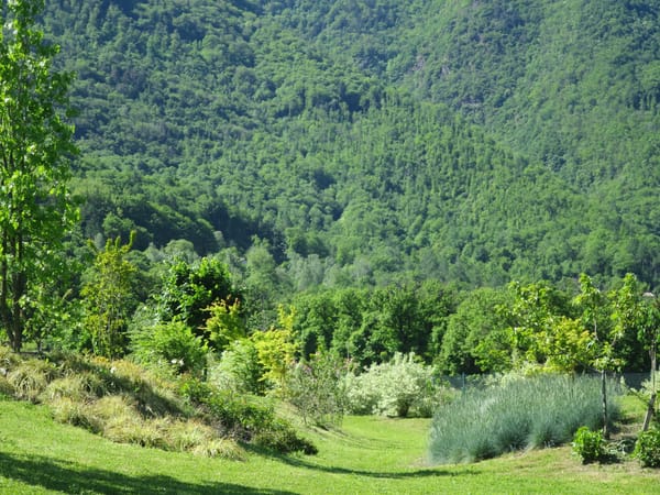 Val Camonica