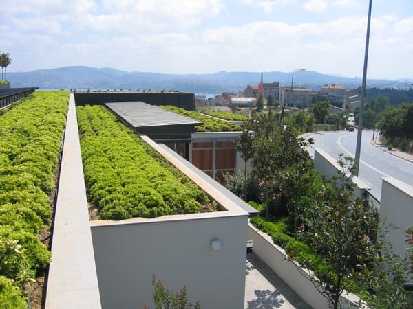 Centro Ippico, Istanbul
