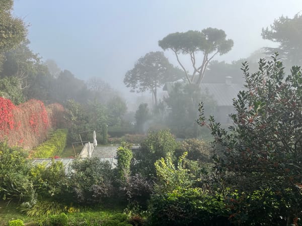 Tarabia, Istanbul