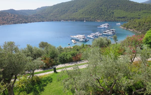 Golkoy, Bodrum